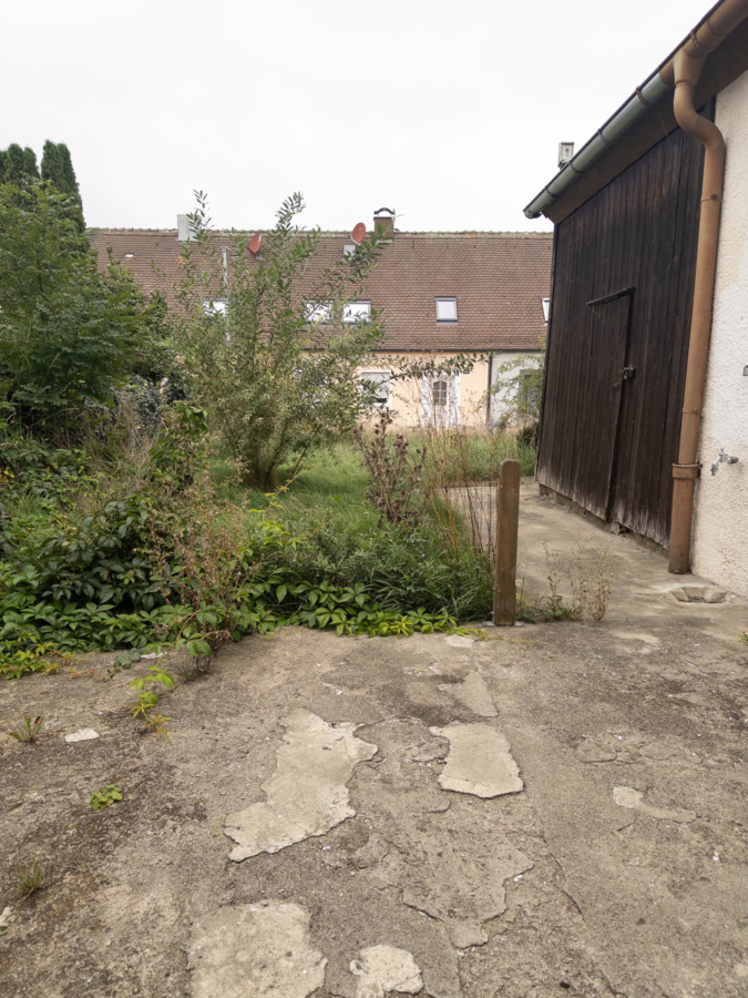 Blick in den Garten