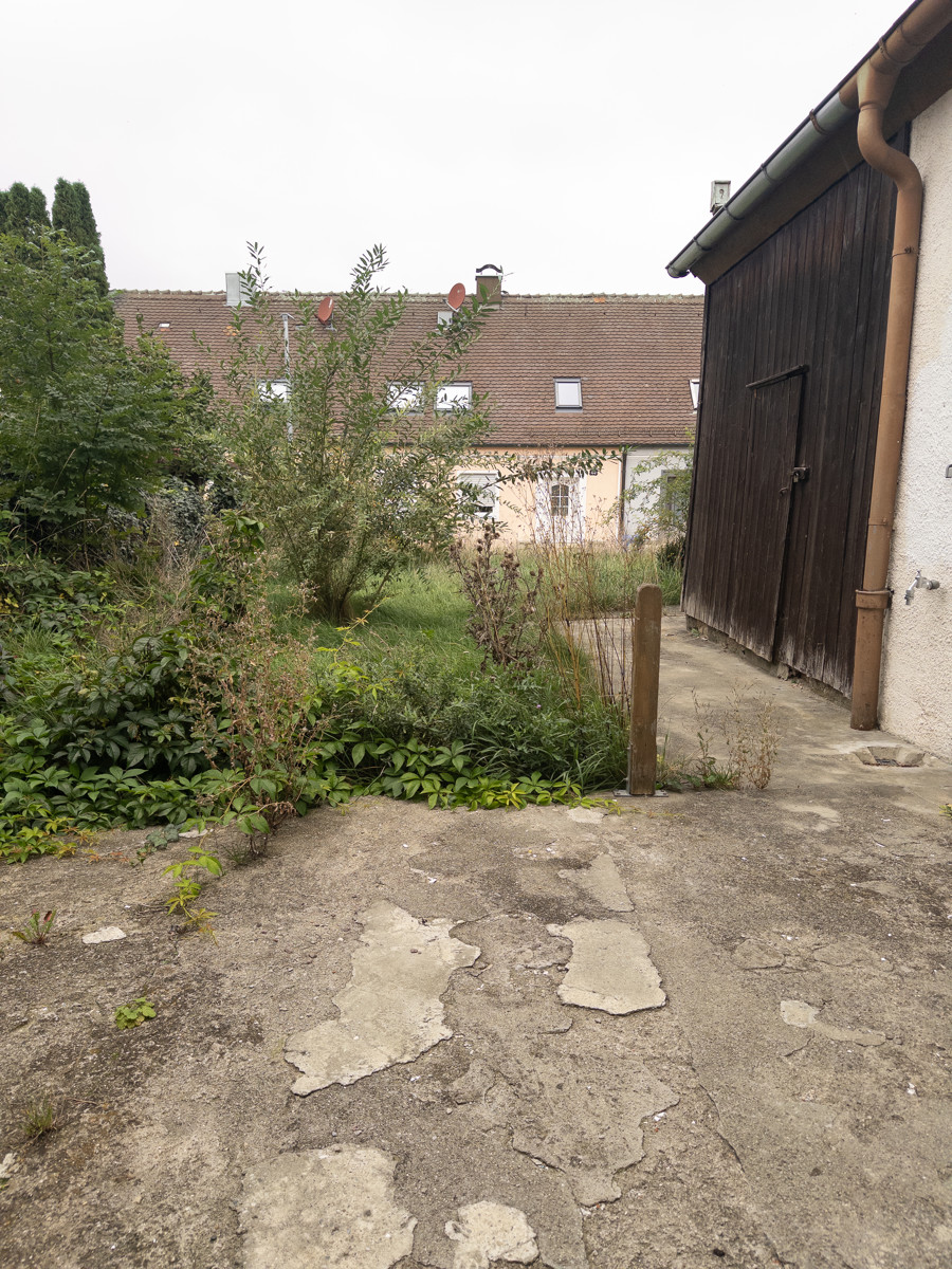 Blick in den Garten